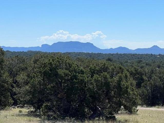 Land for sale in Pie Town, Catron County
