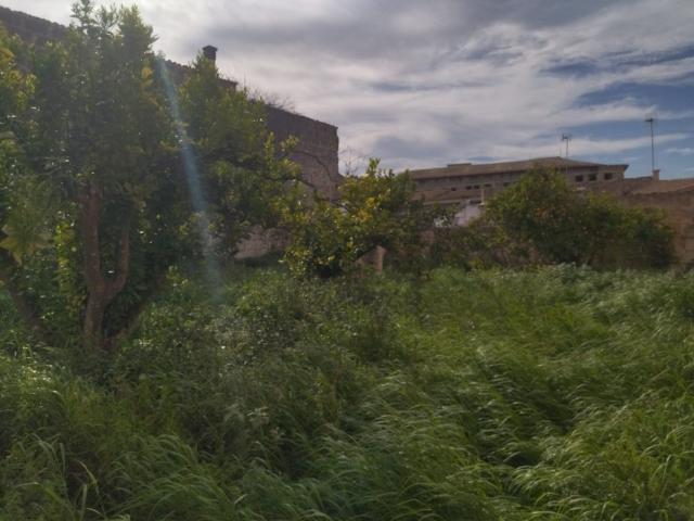 Terreno en venta en Santa Margalida, Pla de Mallorca