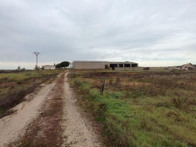 Terreno en venta en Cáceres, Extremadura