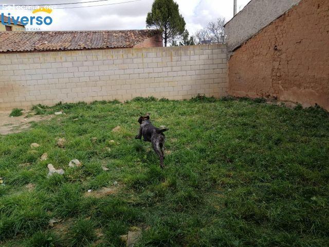 Local Comercial en venta en Quintana Del Pidio, Castilla y León