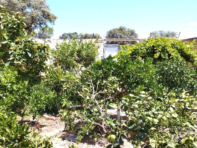 Terreno en venta en Gerena, Andalucía