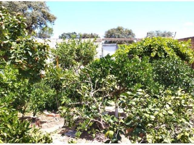 Local Comercial en venta en Gerena, Andalucía