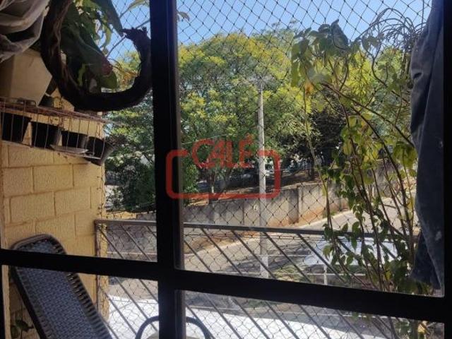Apartamento venda em Região Imediata de Campinas, Região Metropolitana de Campinas