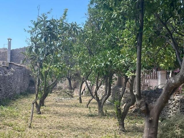 Terreno en venta en Sencelles