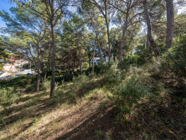 Terreno en venta en Calvià, Serra de Tramuntana