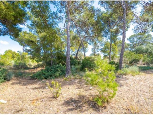 Casa en venta en Calvià, Serra de Tramuntana