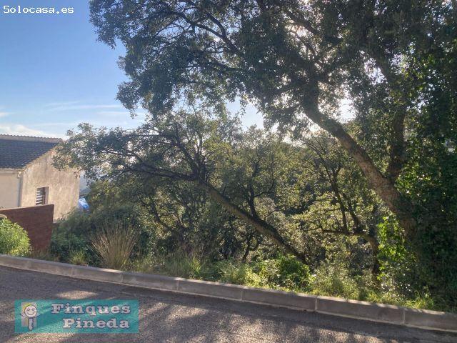 Local Comercial en venta en Castellar d'Índies, Maresme