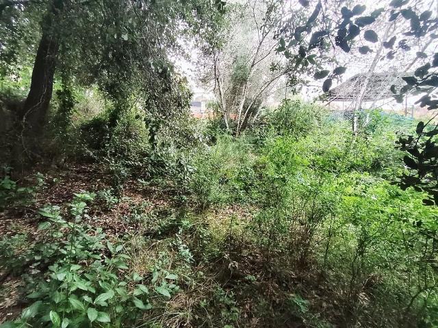 Terreno en alquiler en Anoia, Catalunya
