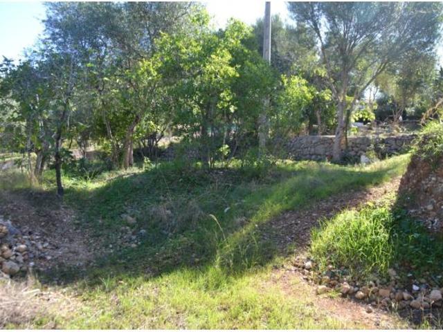 Local Comercial en venta en Raiguer, Baleares