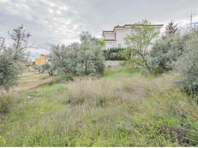 Local Comercial en venta en El Ventorrillo, Comarca de la Vega de Granada