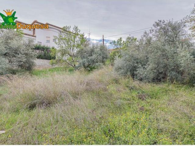 Local Comercial en venta en El Ventorrillo, Cúllar Vega