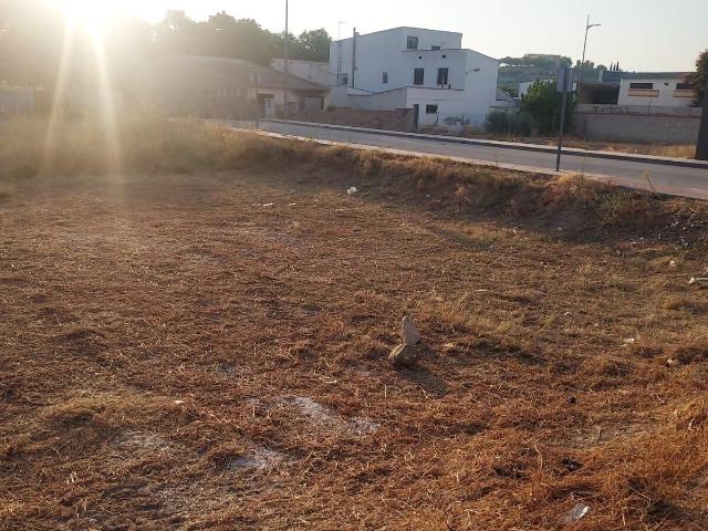 Terreno en venta en La Algaida, Valle de Ricote