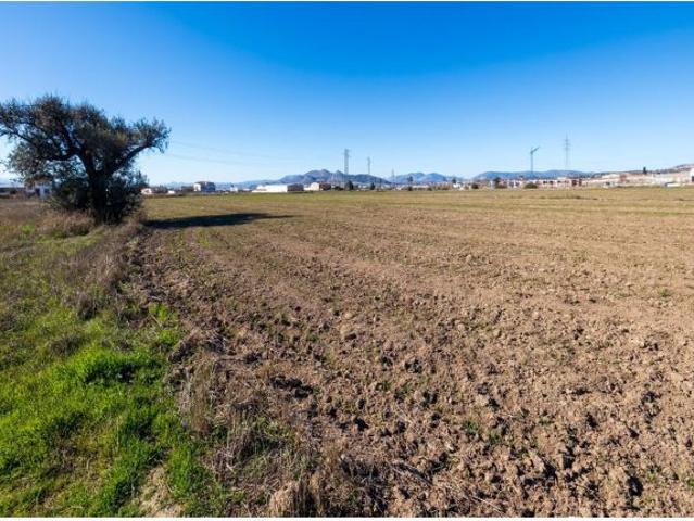 Local Comercial en venta en Pulianas, Pulianillas