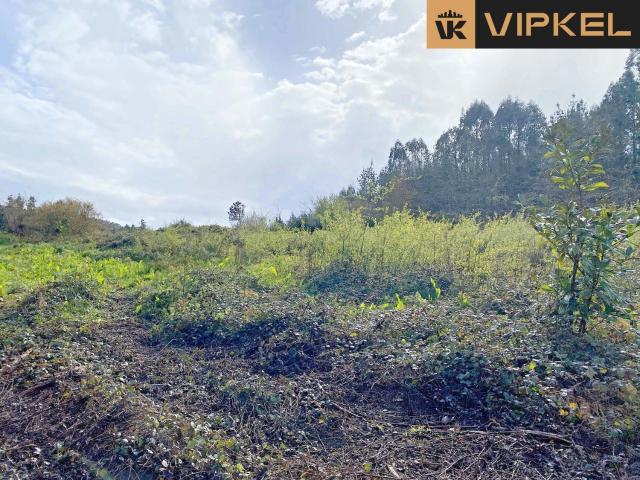 Terreno en venta en Leiro, Abegondo