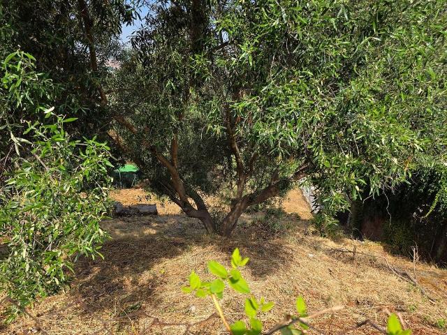 Terreno en venta en Baix Llobregat, Catalunya