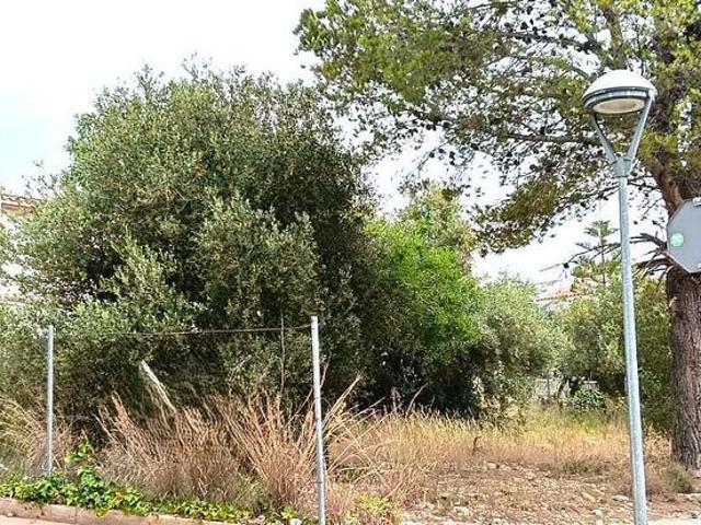 Terreno en venta en Alcanar, Tarragona
