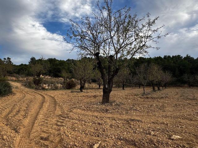 Terreno en venta en Bajo Aragón, Aragón