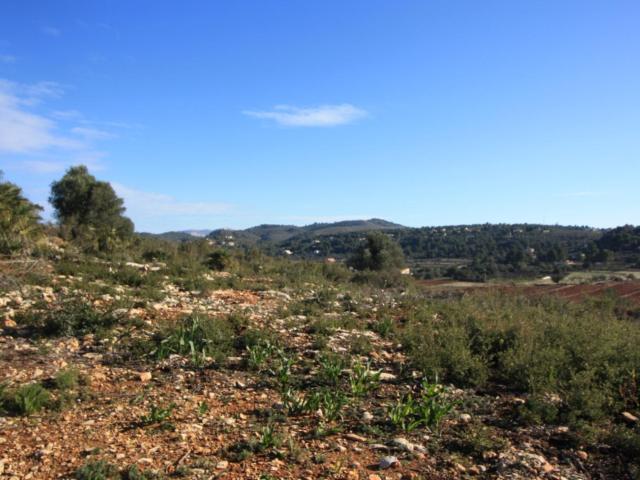 Terreno en venta en l'Alacantí, Valencia