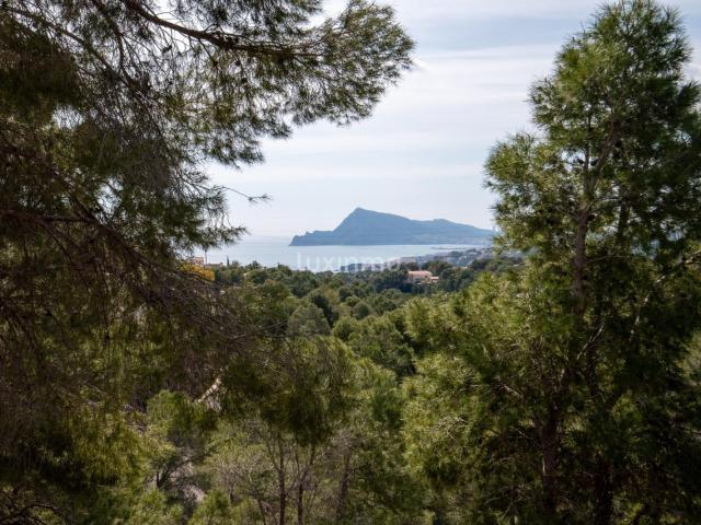 Terreno en venta en la Marina Baixa, Valencia