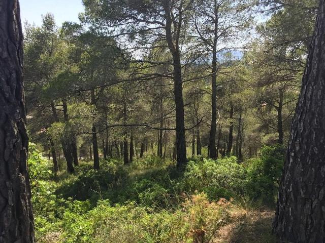 Terreno en venta en Baix Penedès, Catalunya