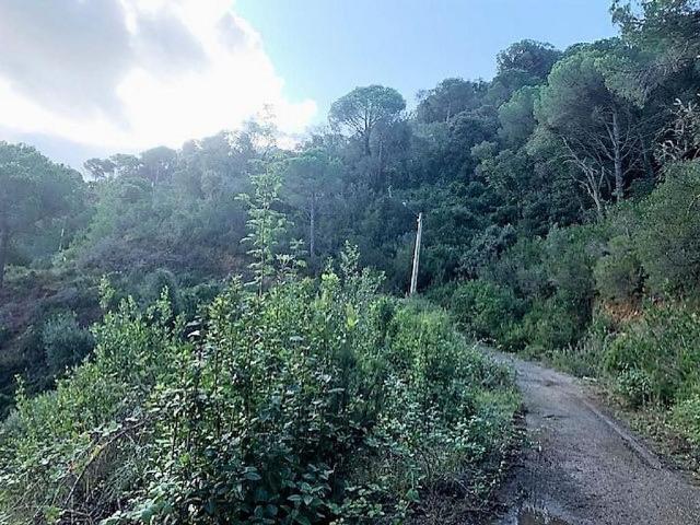 Terreno en venta en Serra Brava, la Selva
