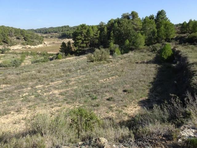 Terreno en venta en Terra Alta, Catalunya