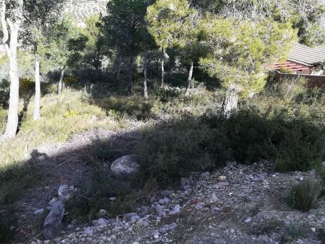 Terreno en venta en La Bisbal Del Penedès