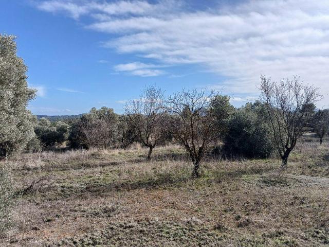 Terreno en venta en Matarraña / Matarranya, Calaceite