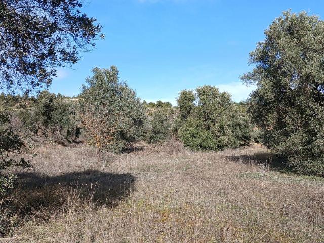 Terreno en venta en Matarraña / Matarranya, Calaceite