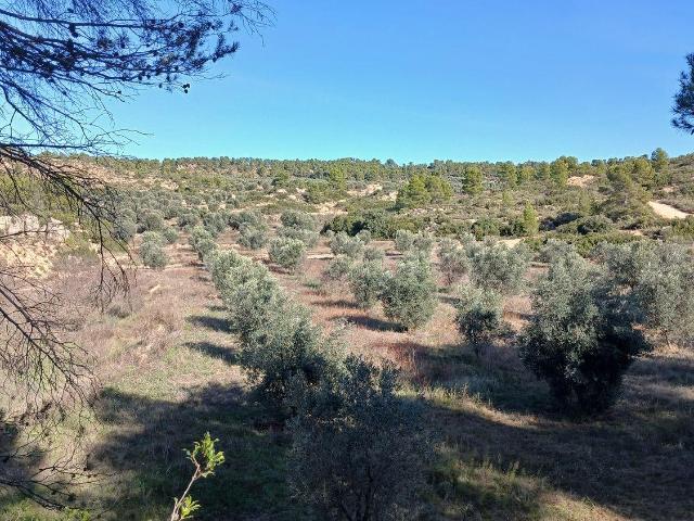 Terreno en venta en Matarraña / Matarranya, Calaceite