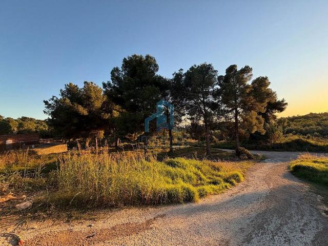 Terreno en venta en Baix Penedès, Catalunya