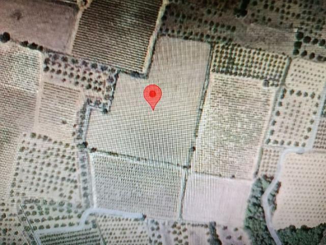 Terreno en venta en Alió Terreno en venta en Alió