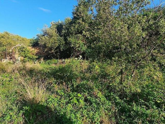 Terreno en venta en Vallès Oriental, Catalunya