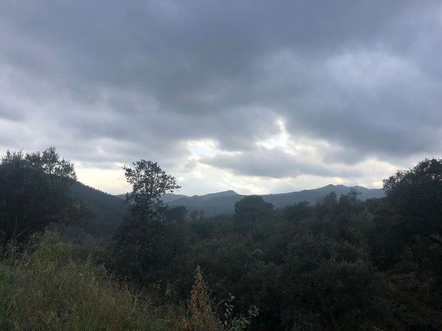 Terreno en venta en la Selva, Catalunya