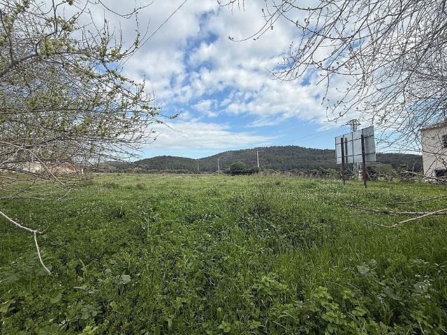 Terreno en venta en Bonastre Terreno en venta en Bonastre