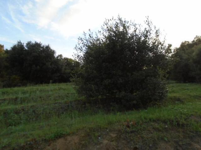 Terreno en venta en Vallès Oriental, Catalunya