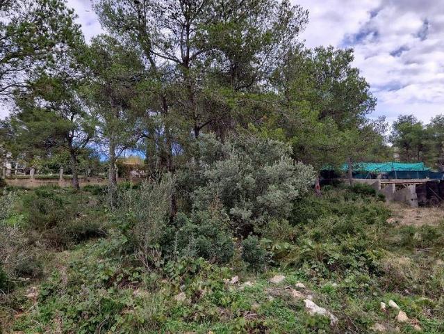 Terreno en venta en les Palmeres, Garraf