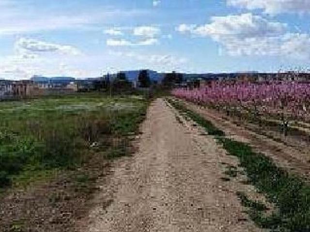 Terreno en venta en Ribera d'Ebre, Catalunya