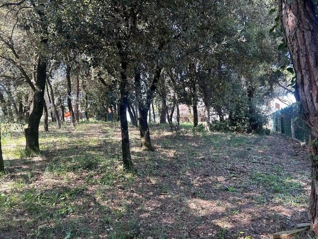 Terreno en venta en Vallès Oriental, Catalunya