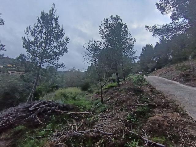 Terreno en venta en Castellvell Del Camp