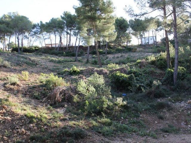 Terreno en venta en Garraf, Catalunya