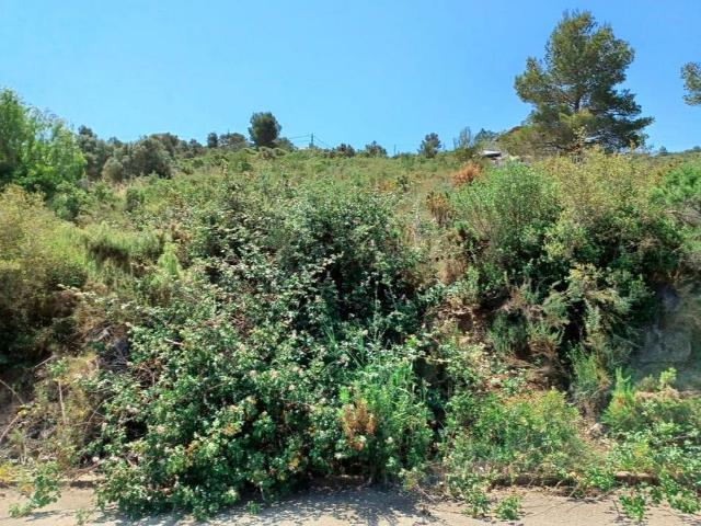 Terreno en venta en Baix Penedès, Catalunya