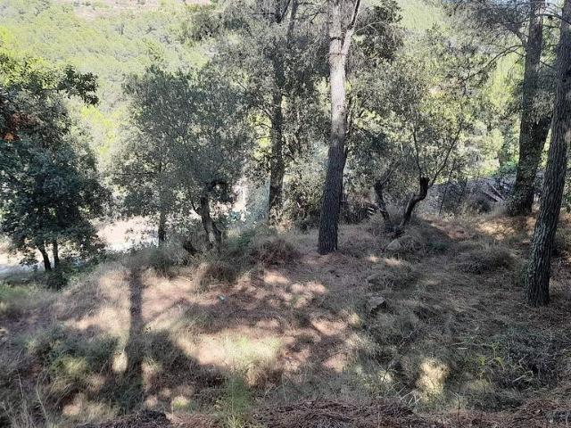 Terreno en venta en Baix Camp, Catalunya
