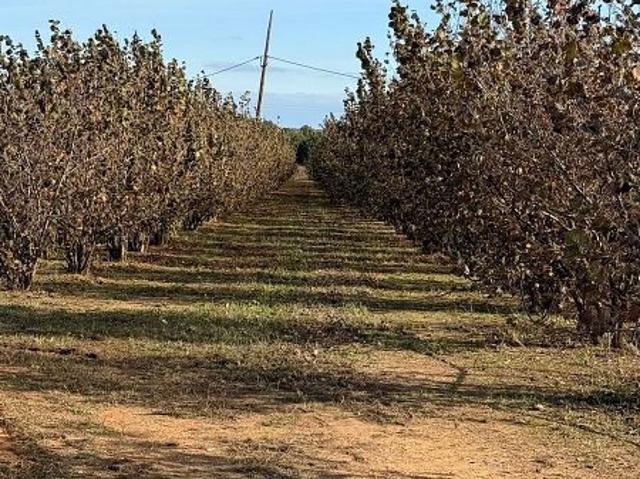 Terreno en venta en Tarragonès, Catalunya