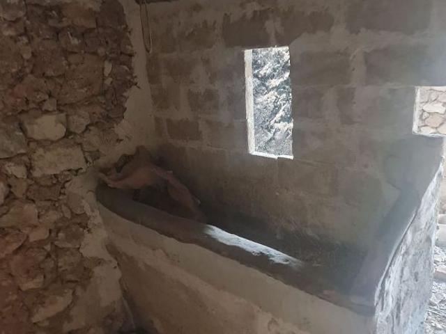 Terreno en venta en Móra d'Ebre, Tarragona