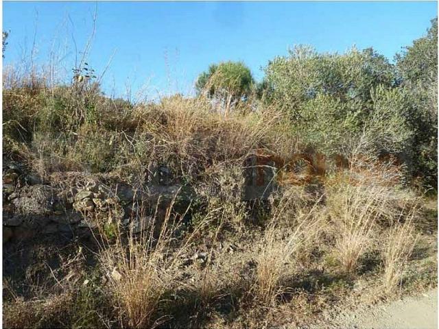 Terreno en venta en Baix Camp, Catalunya