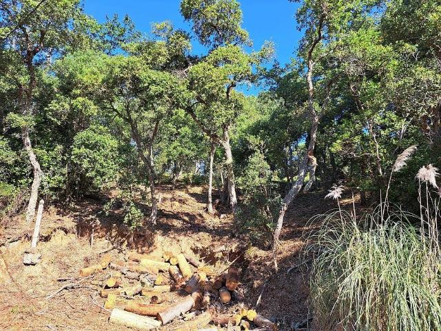 Terreno en venta en la Selva, Catalunya
