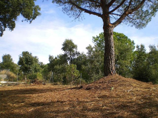 Terreno en venta en Maresme, Catalunya
