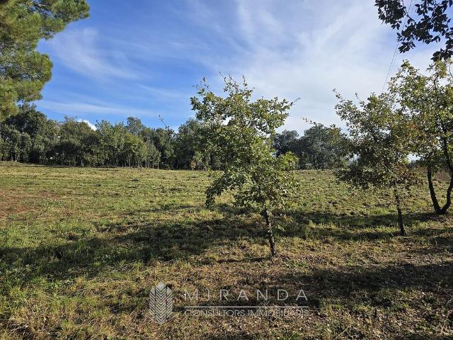 Terreno en venta en Vallès Oriental, Catalunya
