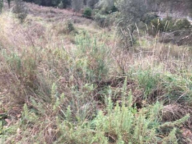Terreno en venta en Vilardell, Vallès Oriental